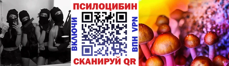 купить наркотики сайты Канск Галлюциногенные грибы GOLDEN TEACHER