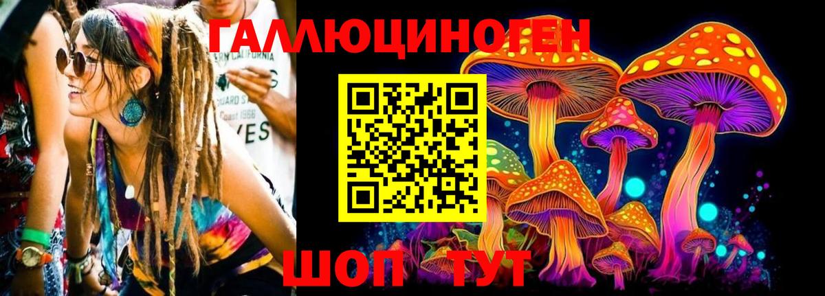 Псилоцибиновые грибы Magic Shrooms  Псилоцибиновые грибы Magic Shrooms  цены   Канск  Вход с VPN 