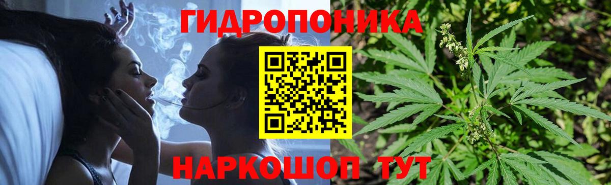 Бошки марихуана Amnesia Канск